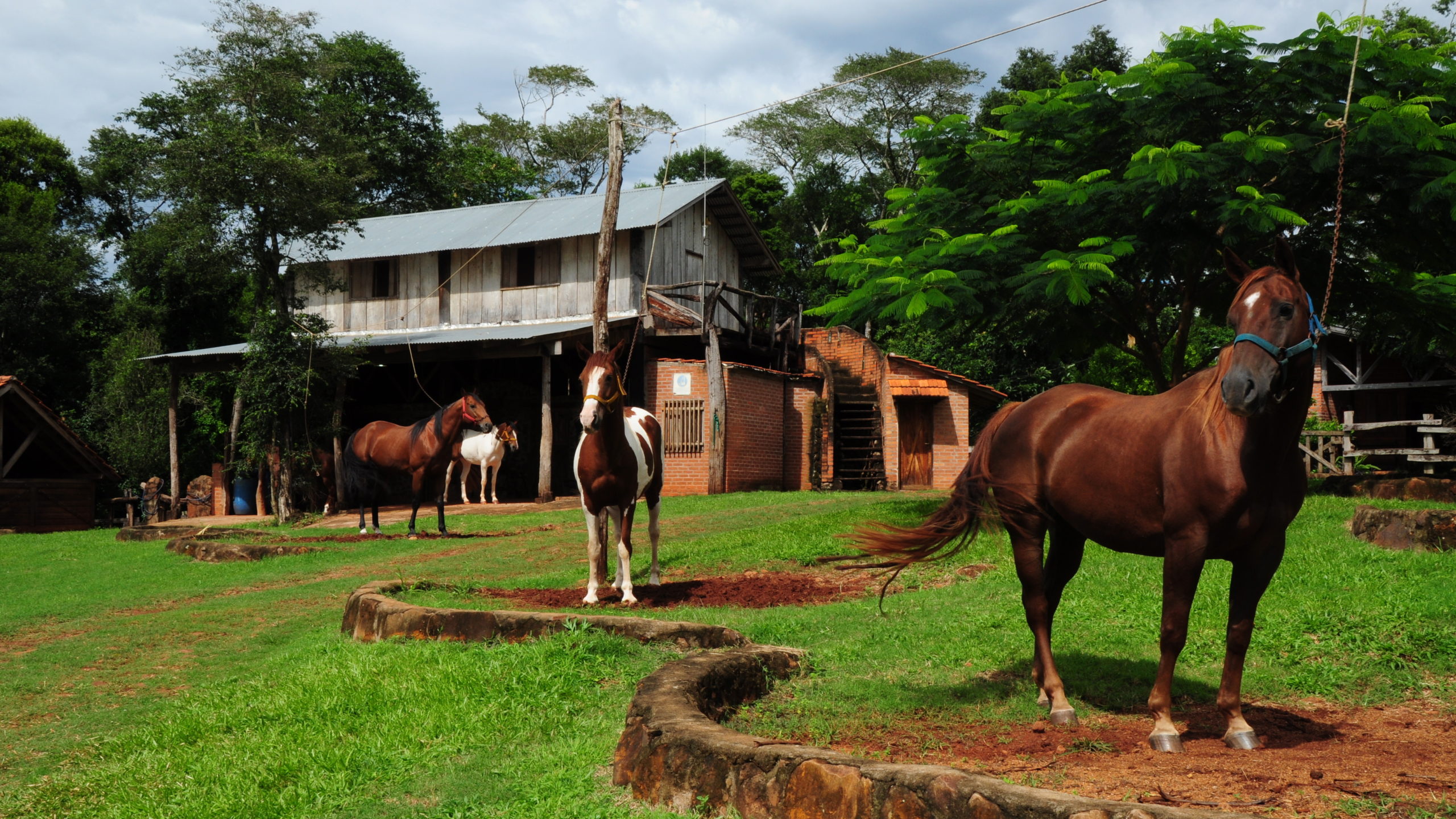 Descubrí Bonpland: naturaleza, cultura y tradición en el corazón de Misiones