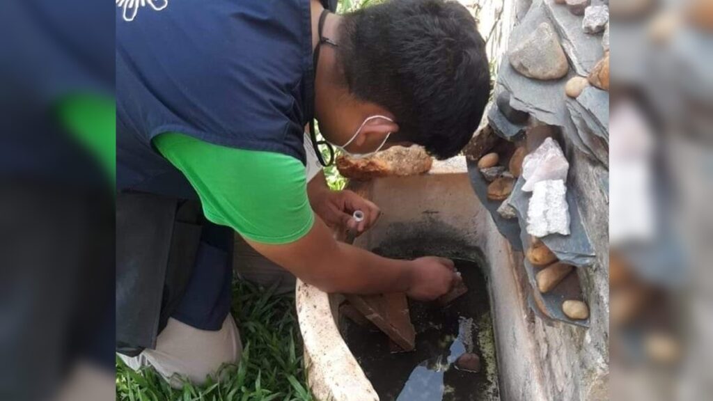 Dengue en Misiones