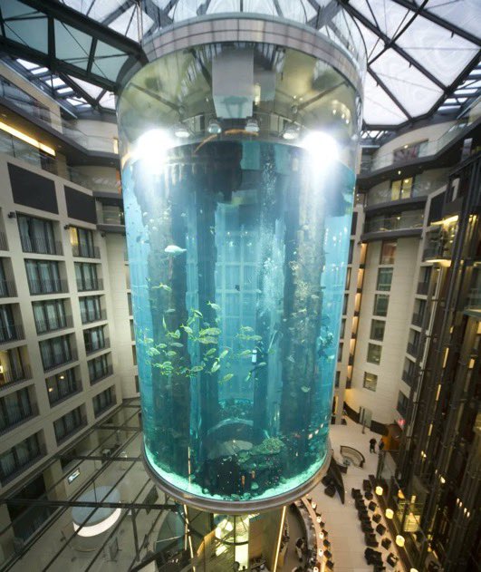 Reventó AquaDom de Berlín, el acuario cilíndrico más grande del mundo ...