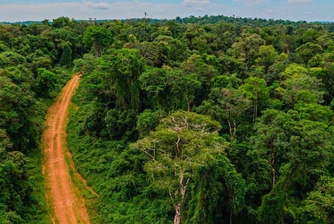 La industria de la yerba mate en Fachinal, Misiones