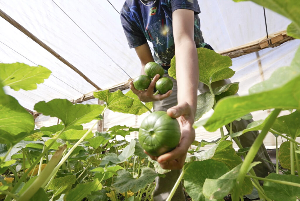 Cumbre de Agricultura Sostenible