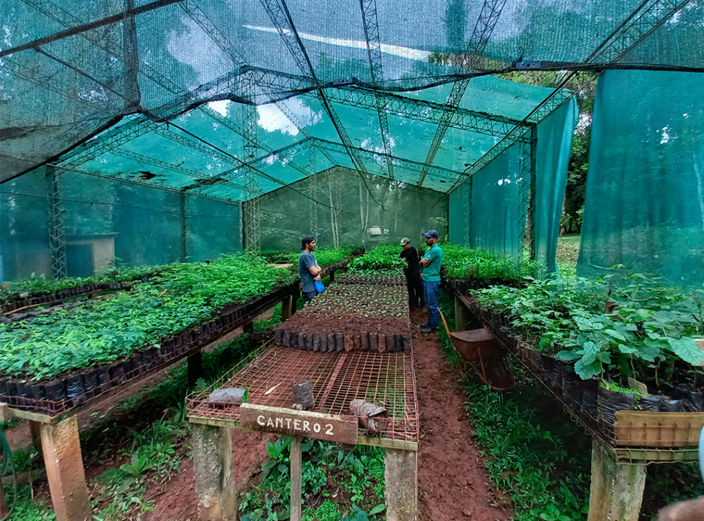 Vida Silvestre Urugua-i, nueva área productora de semillas nativas