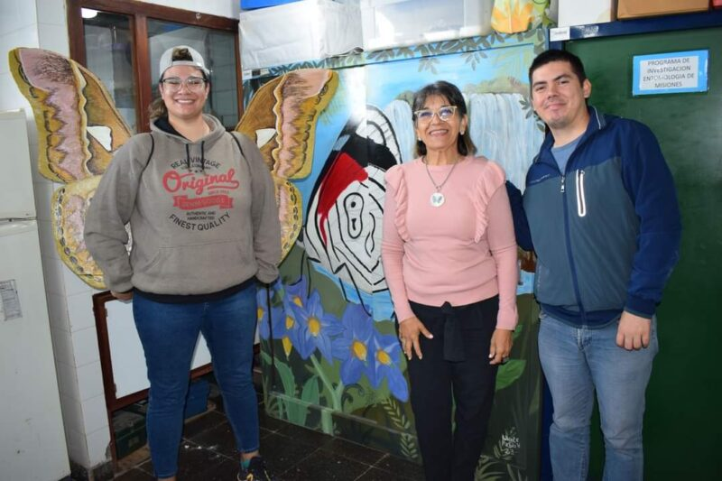 observación de mariposas y polillas