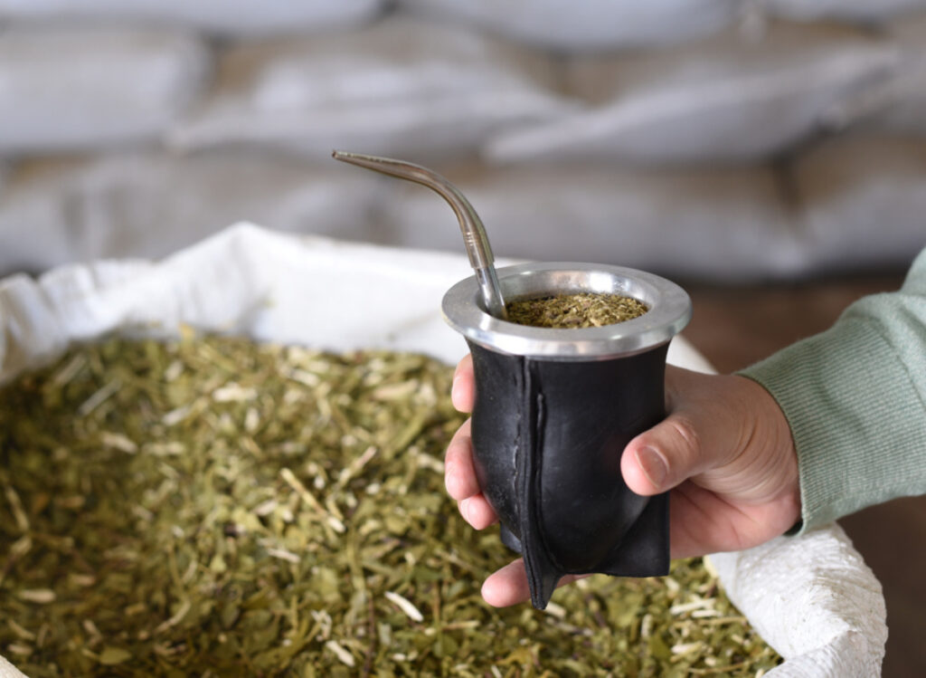 yerba mate