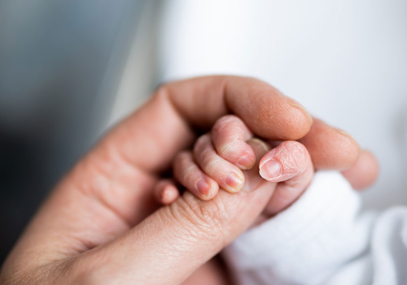 semana provincial del prematuro