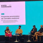 expo cannabis 2023