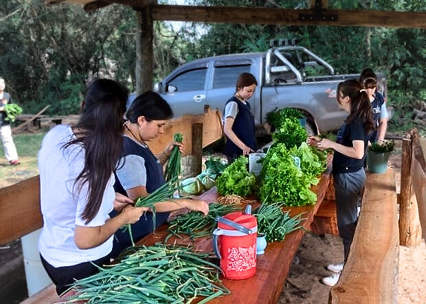 Escuelas agrotécnicas de Misiones sostienen su formación con apoyo provincial ante la reducción de fondos nacionales imagen-5