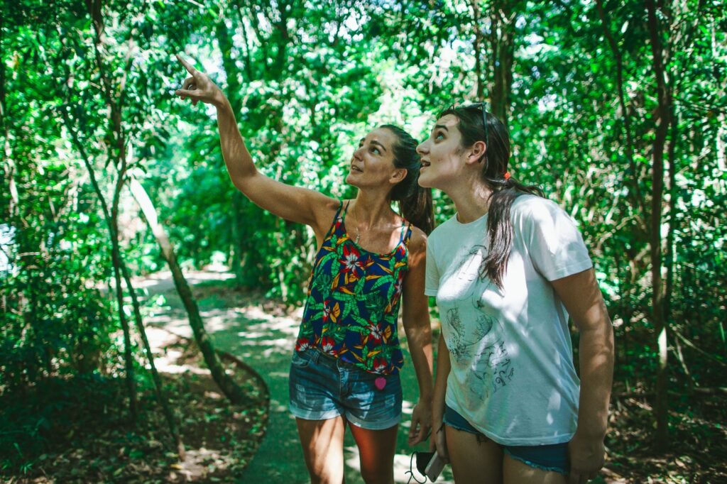 Ahora Viaja por Misiones