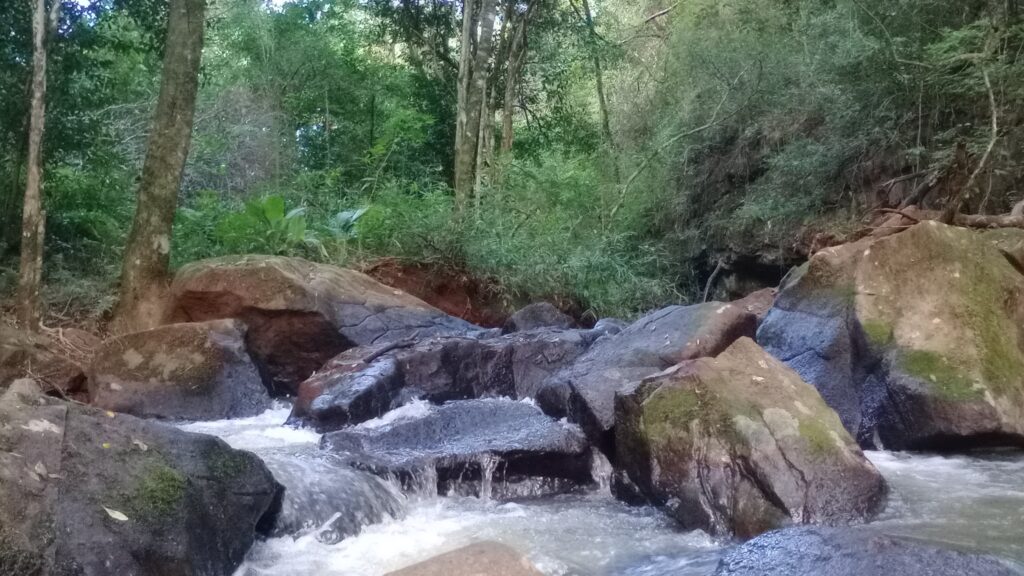 ecogranja La Lechuza 2