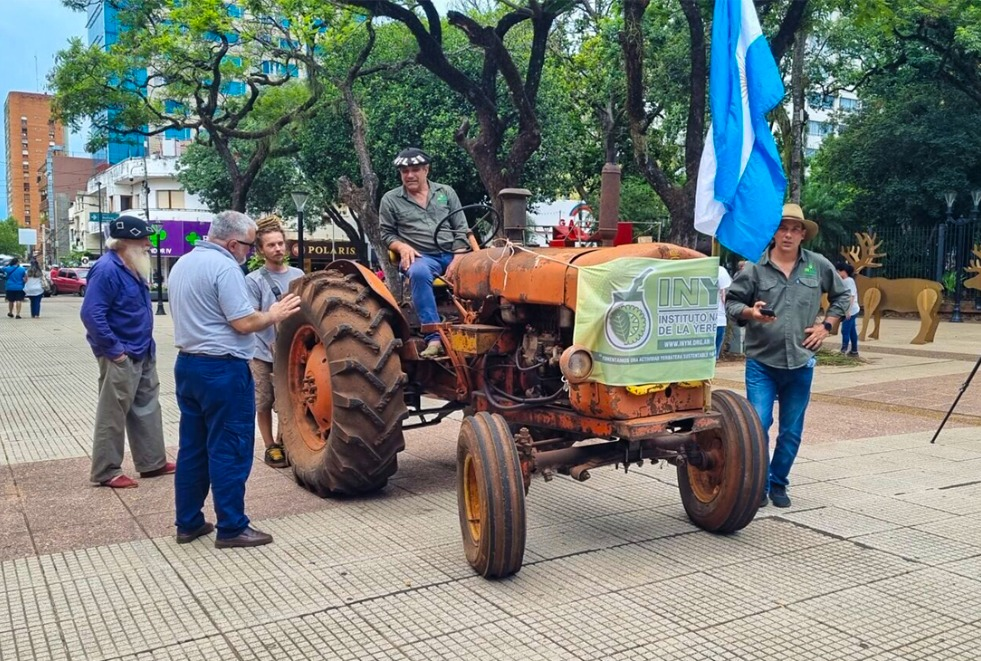 Productores yerbateros