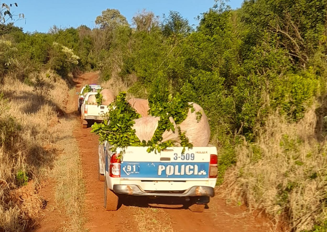 Campo Grande policías rurales evitaron el robo de yerba mate a un