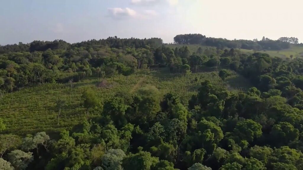 agricultura orgánica