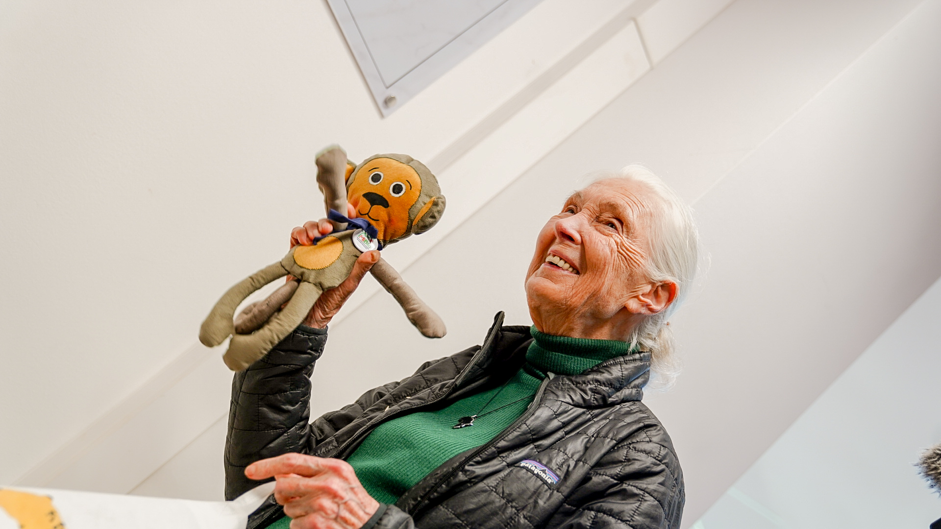 Jane Goodall