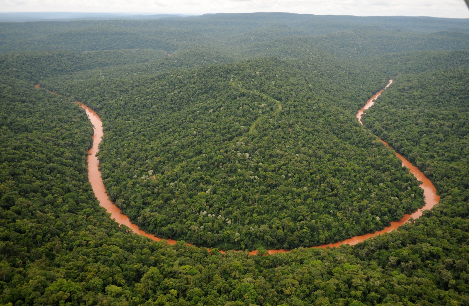 La certificadora FSC reconoce a la Provincia por su excelencia en manejo  forestal y protección ambiental