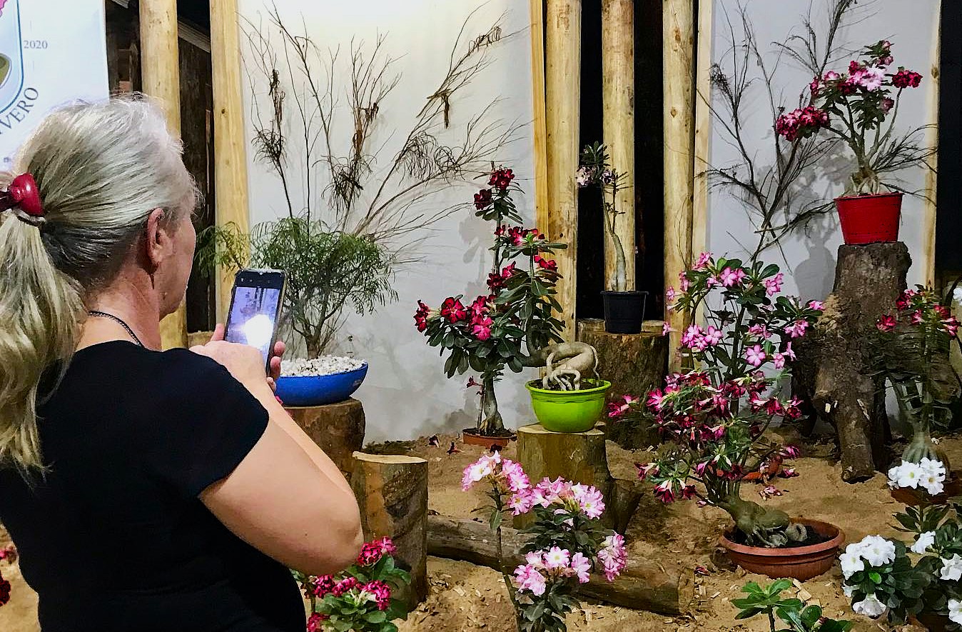 Orquídea