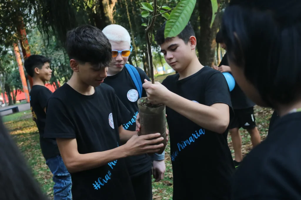 mapeo satelital arroyo bonito