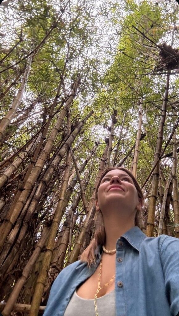 celebridades misiones