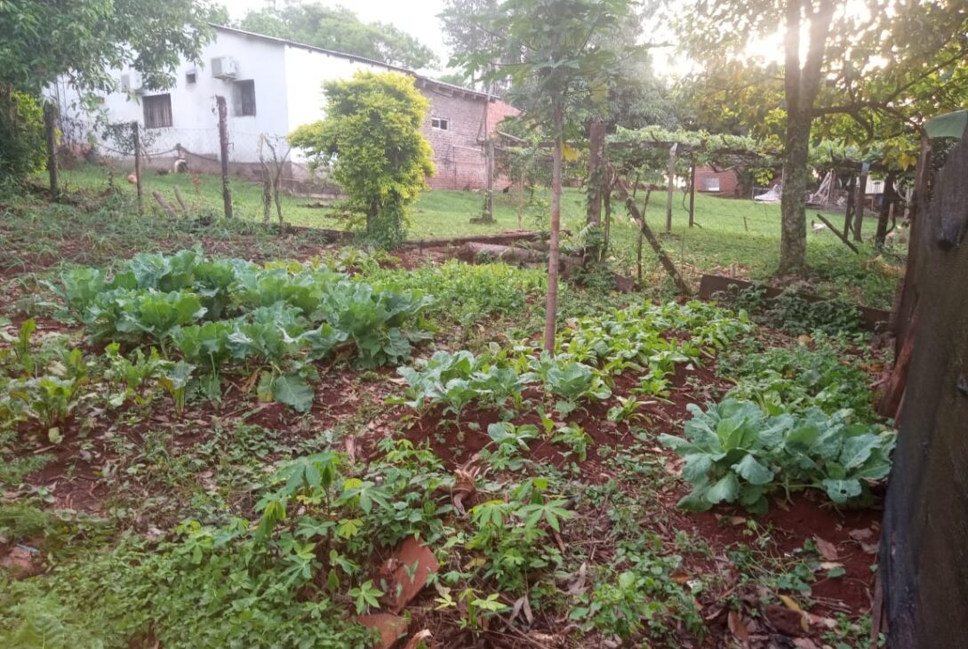 Armamos la huerta juntos