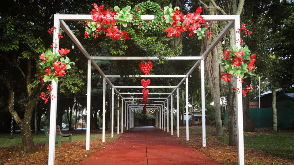 árbol navideño Capioví