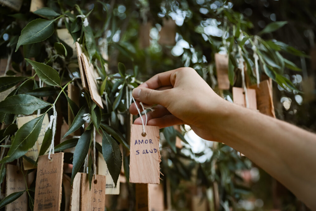 árbol navideño Capioví