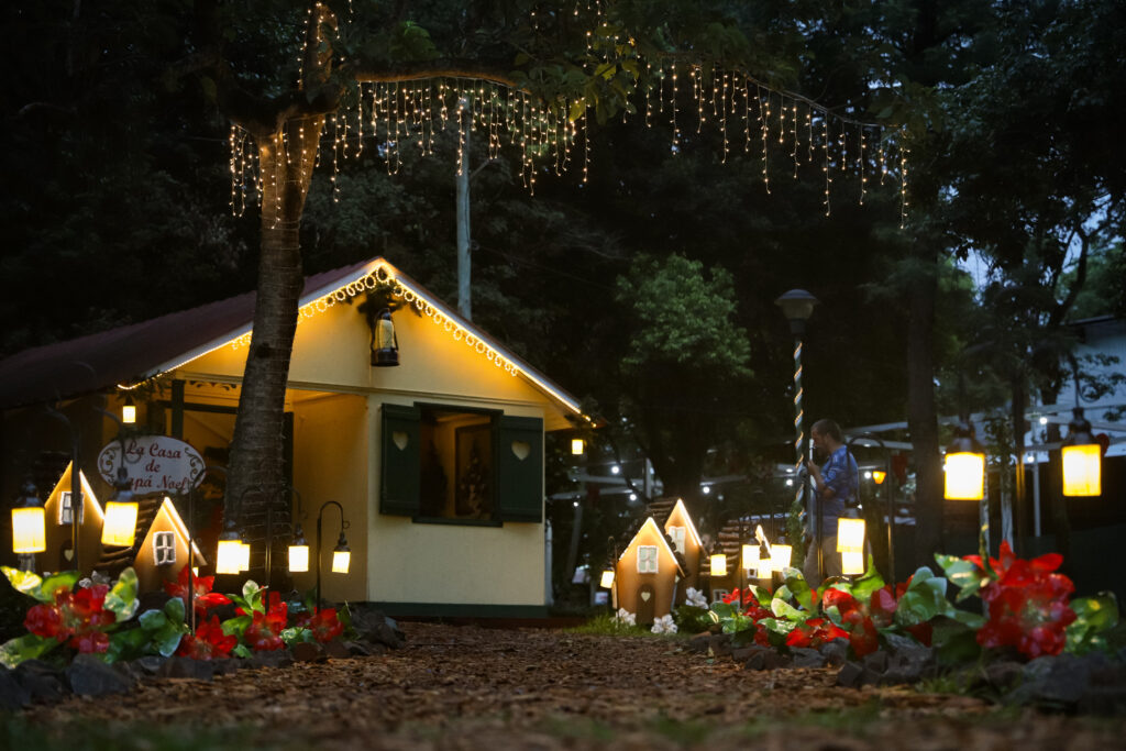 árbol navideño Capioví