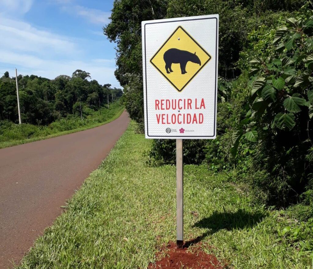 Seguridad vial