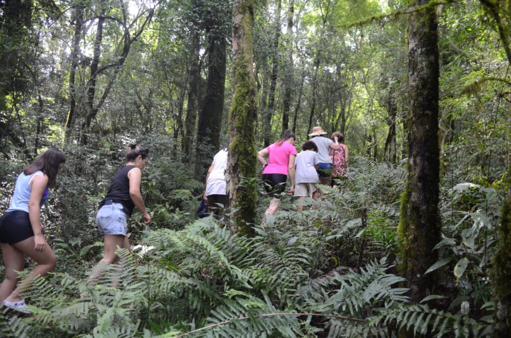 Misiones
