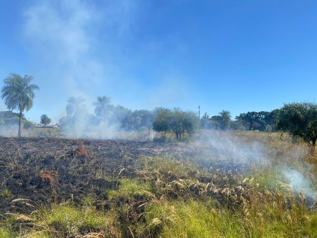 incendio en pastizales