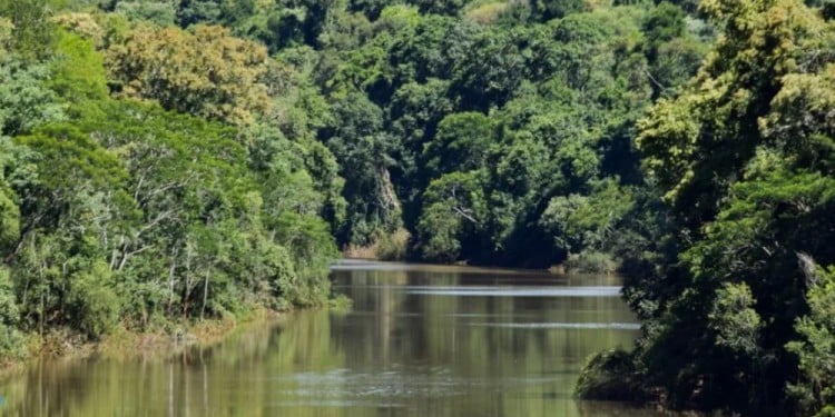 Buscan intensamente a padre e hijo desaparecidos en el arroyo Urugua-í