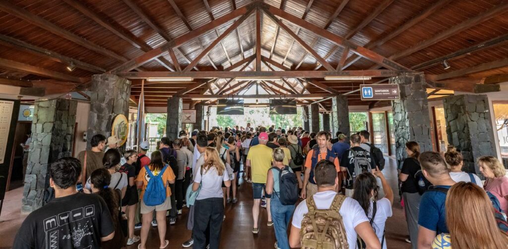 Finde XXL: Iguazú desbordó de turistas, con ocupación récord y fuerte presencia internacional 23 Finde XXL: Iguazú desbordó de turistas, con ocupación récord y fuerte presencia internacional imagen-22