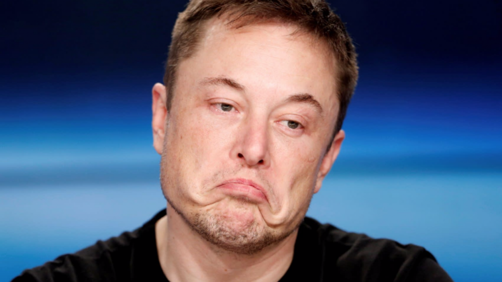 musk trump