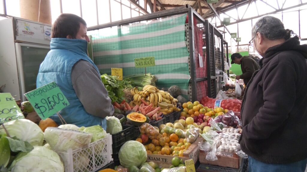 mercado concentrador
