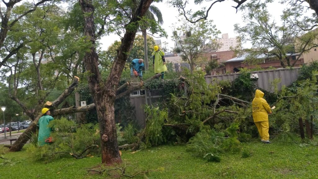 Defensa Civil asistió a vecinos frente a los daños de lluvias intensas y vientos fuertes en Misiones imagen-20