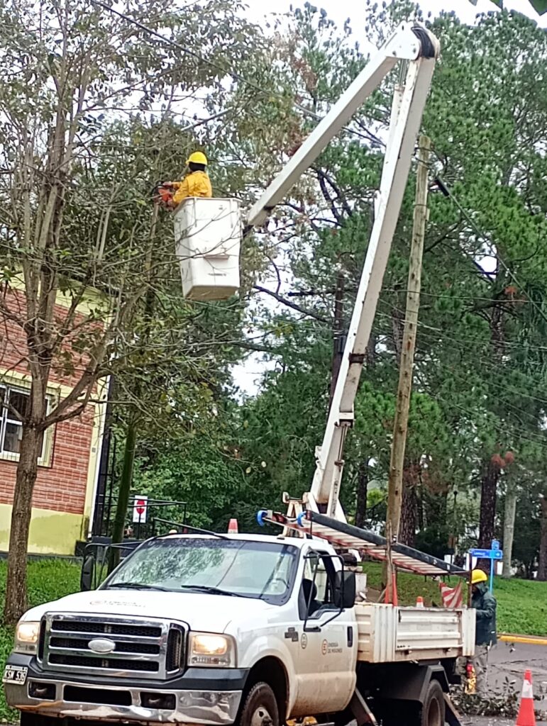 Energía de Misiones fortalece el alumbrado público en El Soberbio imagen-22