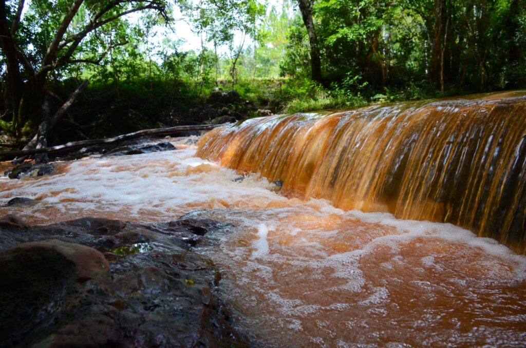 Invierno verde: la propuesta de Colonia Chapá para esta temporada imagen-12