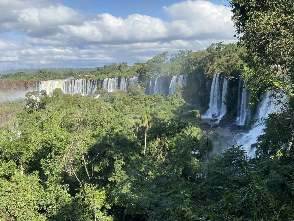 La biodiversidad misionera, un ícono del Día Mundial de la Selva Tropical imagen-20