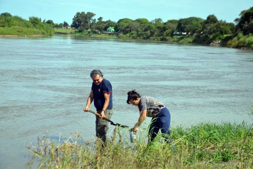 glifosato río Paraná