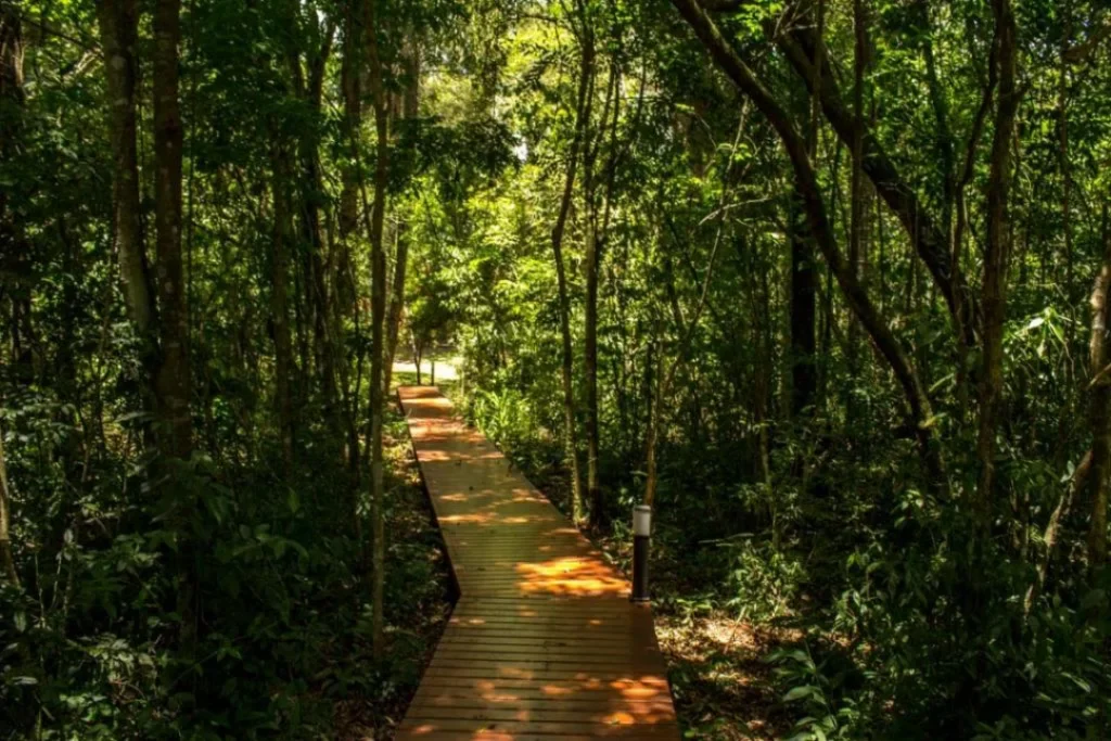 destinos misiones