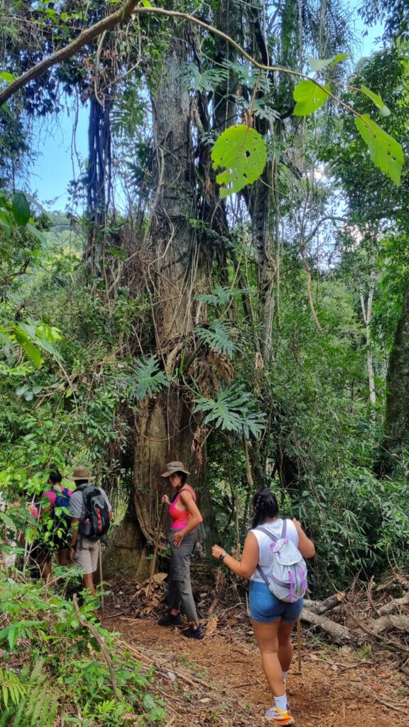 Valle Encantado, la joya turística que nació de la unión de Aristóbulo y Salto Encantado imagen-15