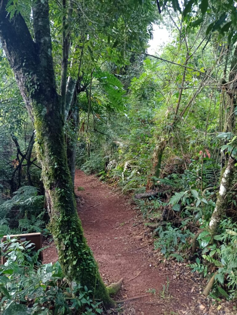 Valle Encantado, la joya turística que nació de la unión de Aristóbulo y Salto Encantado imagen-55