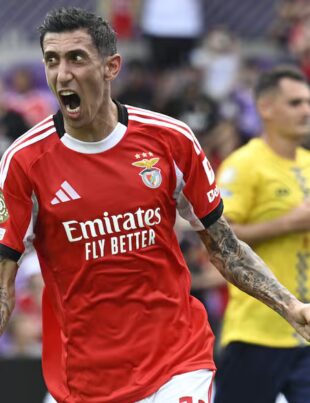 Benfica Auckland