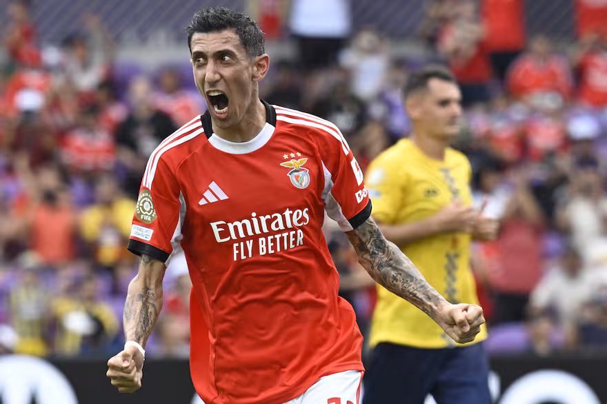 Benfica Auckland