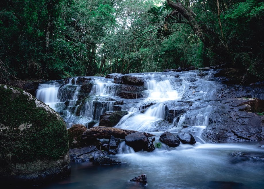 Invierno verde: la propuesta de Colonia Chapá para esta temporada imagen-20