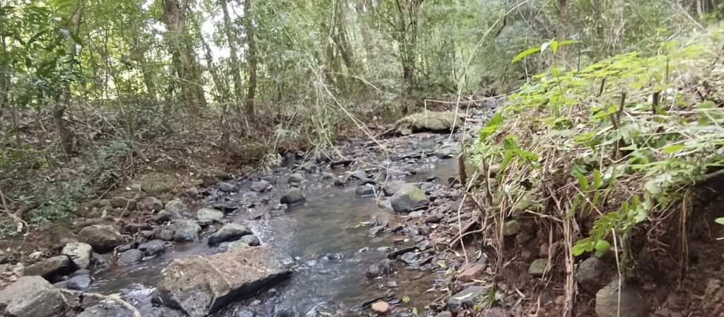 Invierno verde: la propuesta de Colonia Chapá para esta temporada imagen-36