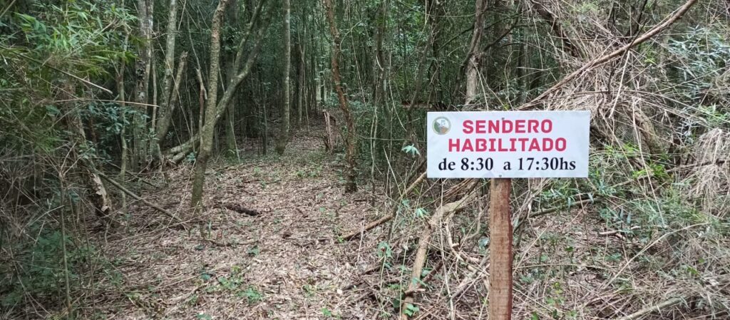 Invierno verde: la propuesta de Colonia Chapá para esta temporada imagen-40
