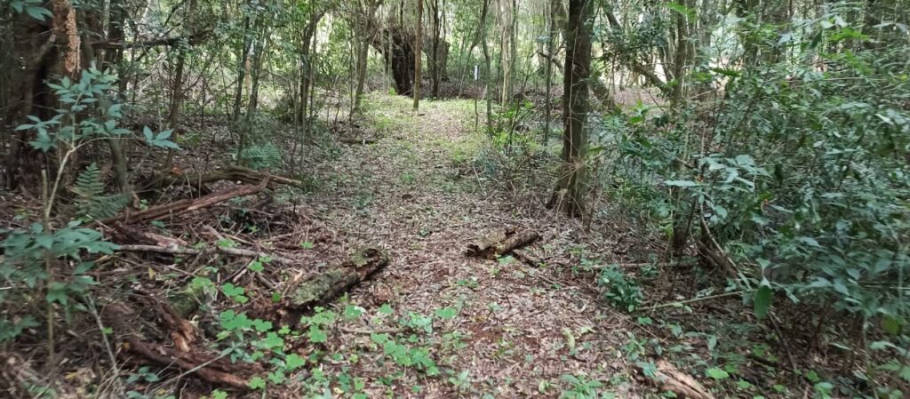 Invierno verde: la propuesta de Colonia Chapá para esta temporada imagen-44