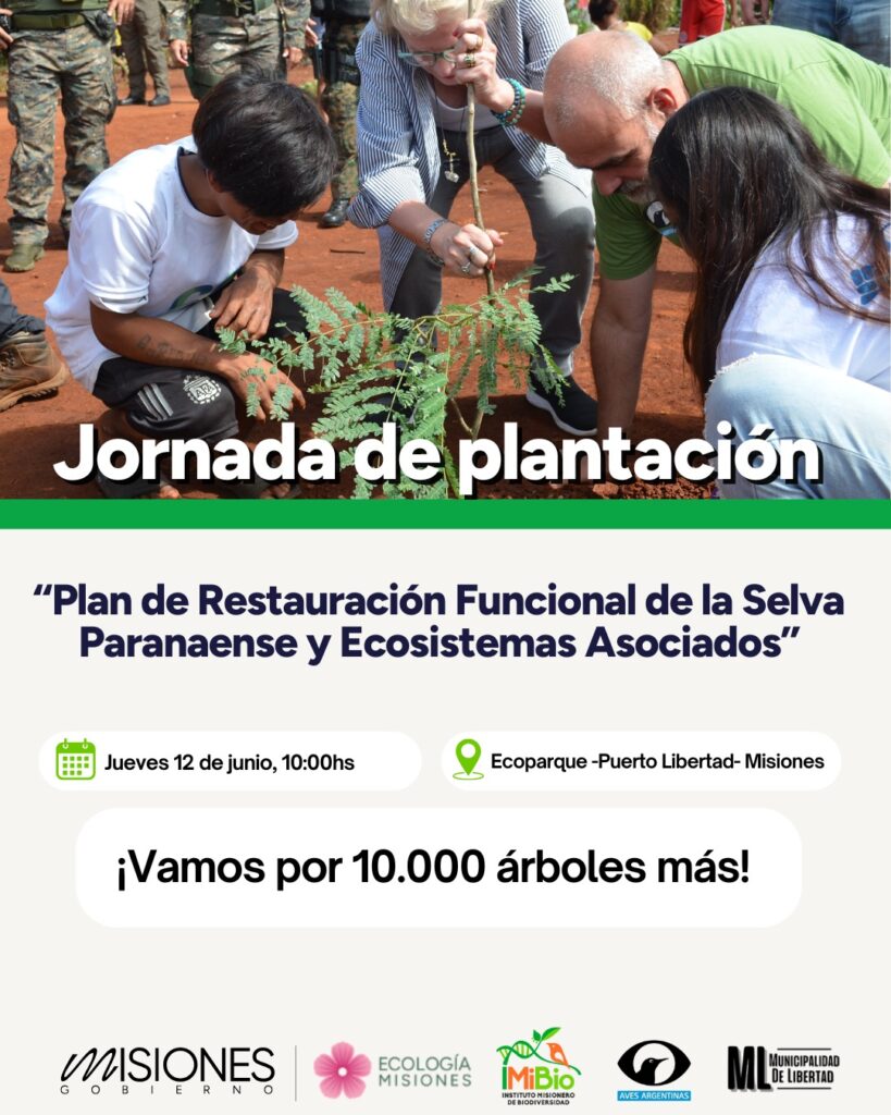 árboles nativos