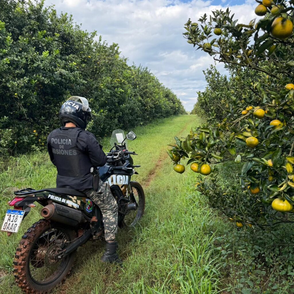 policía de misiones