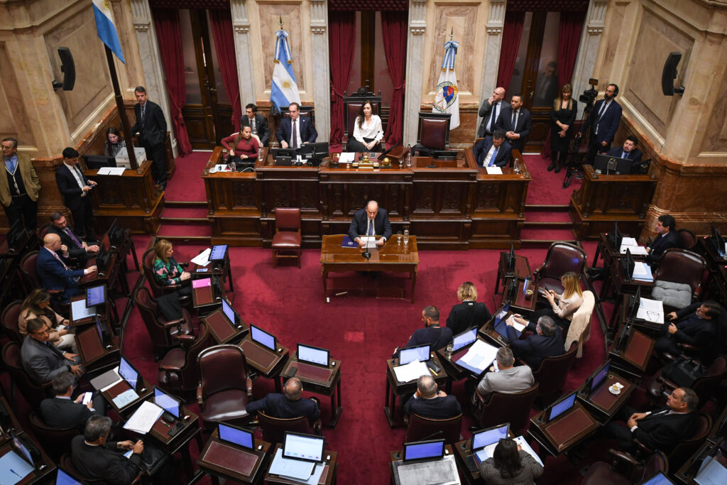 Senado jubilados moratoria