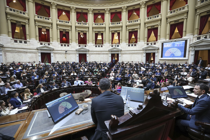 Proeza, sobre el veto a Discapacidad: “Es asombroso que se discutan derechos ya conquistados” imagen-7